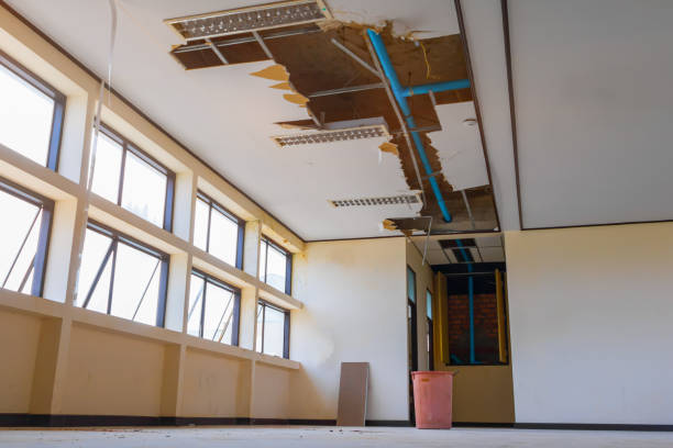 Best Water damage repair service  in Glenolden, PA