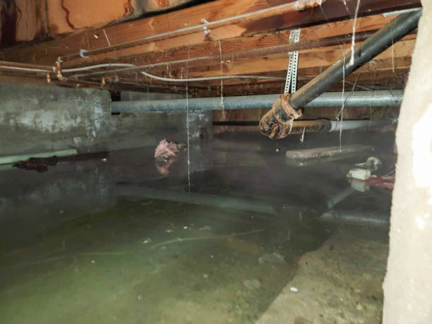 Best Residential water damage restoration  in Glenolden, PA