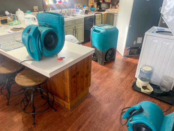 Best Mold removal after water damage  in Glenolden, PA