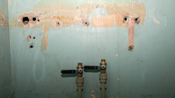 Best Water damage restoration near me  in Glenolden, PA